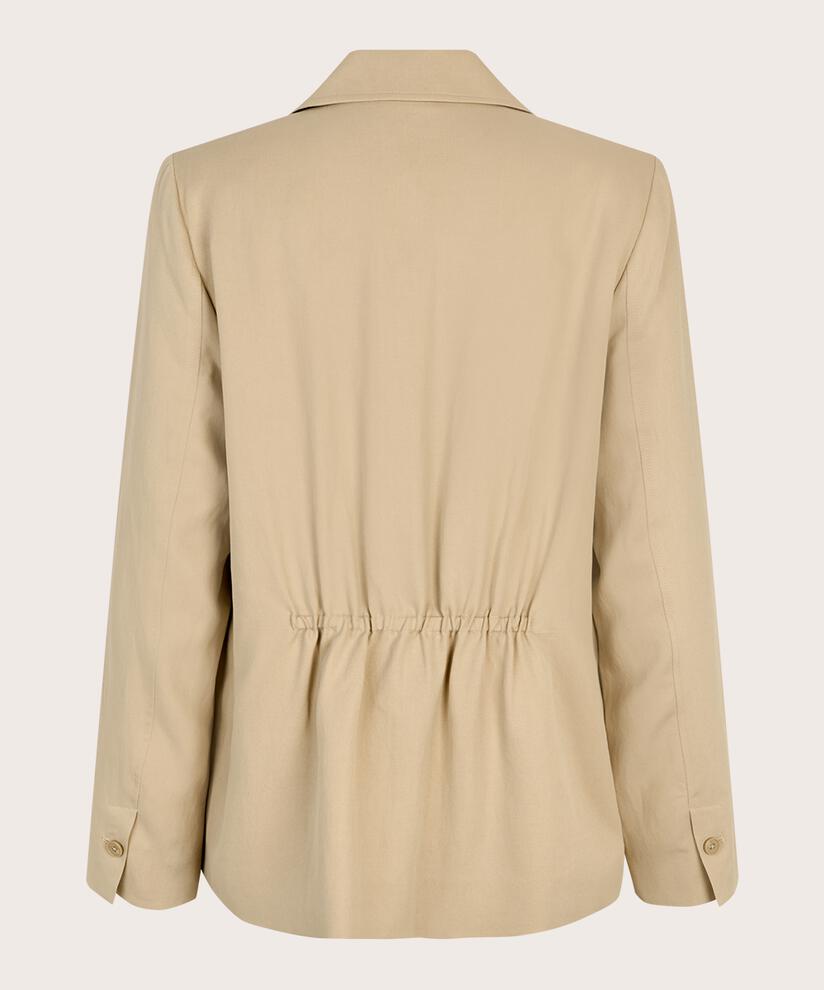 James Blazer, Safari