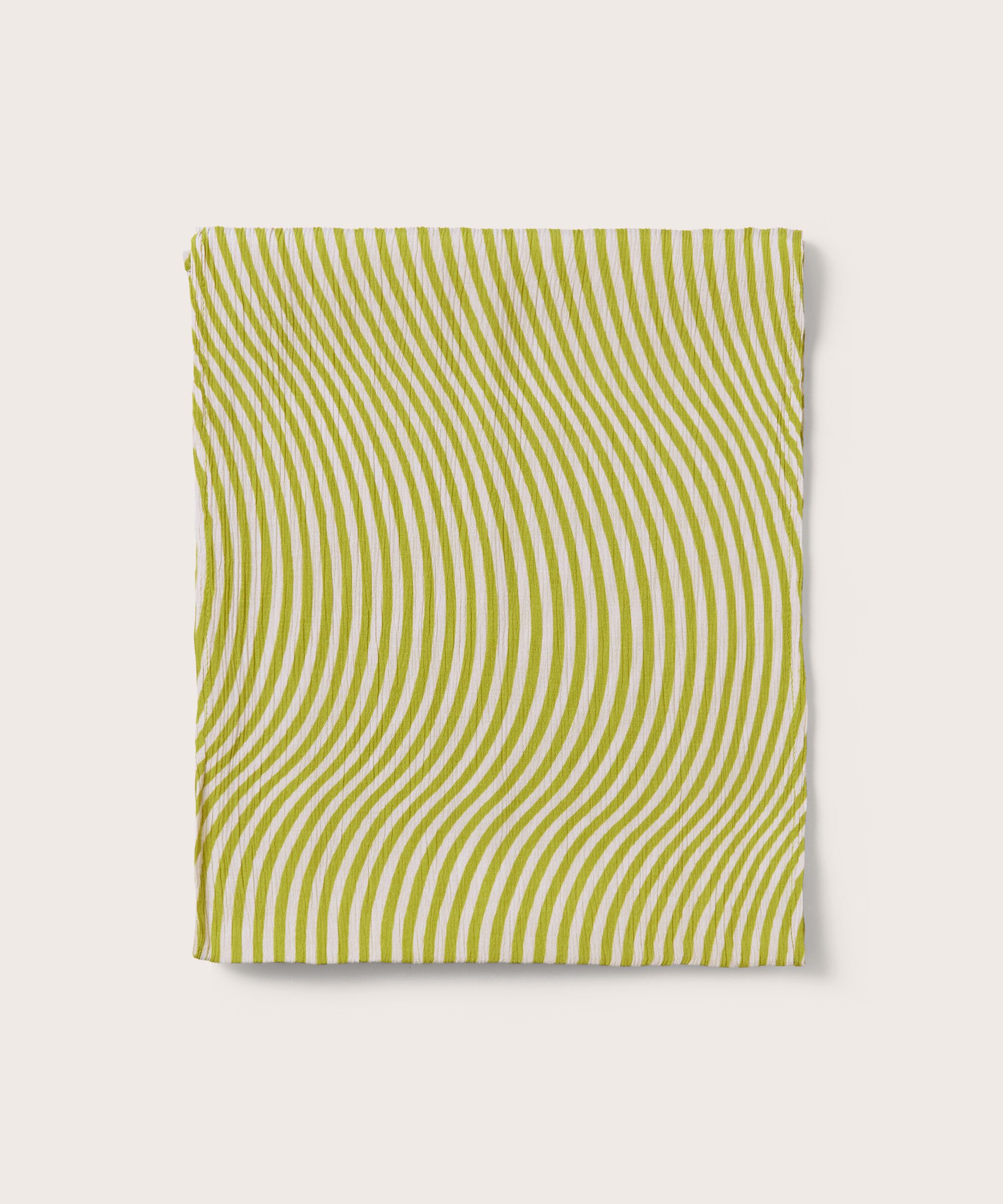 Along Scarf, Lentil Sprout