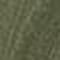 D. Lichen Green