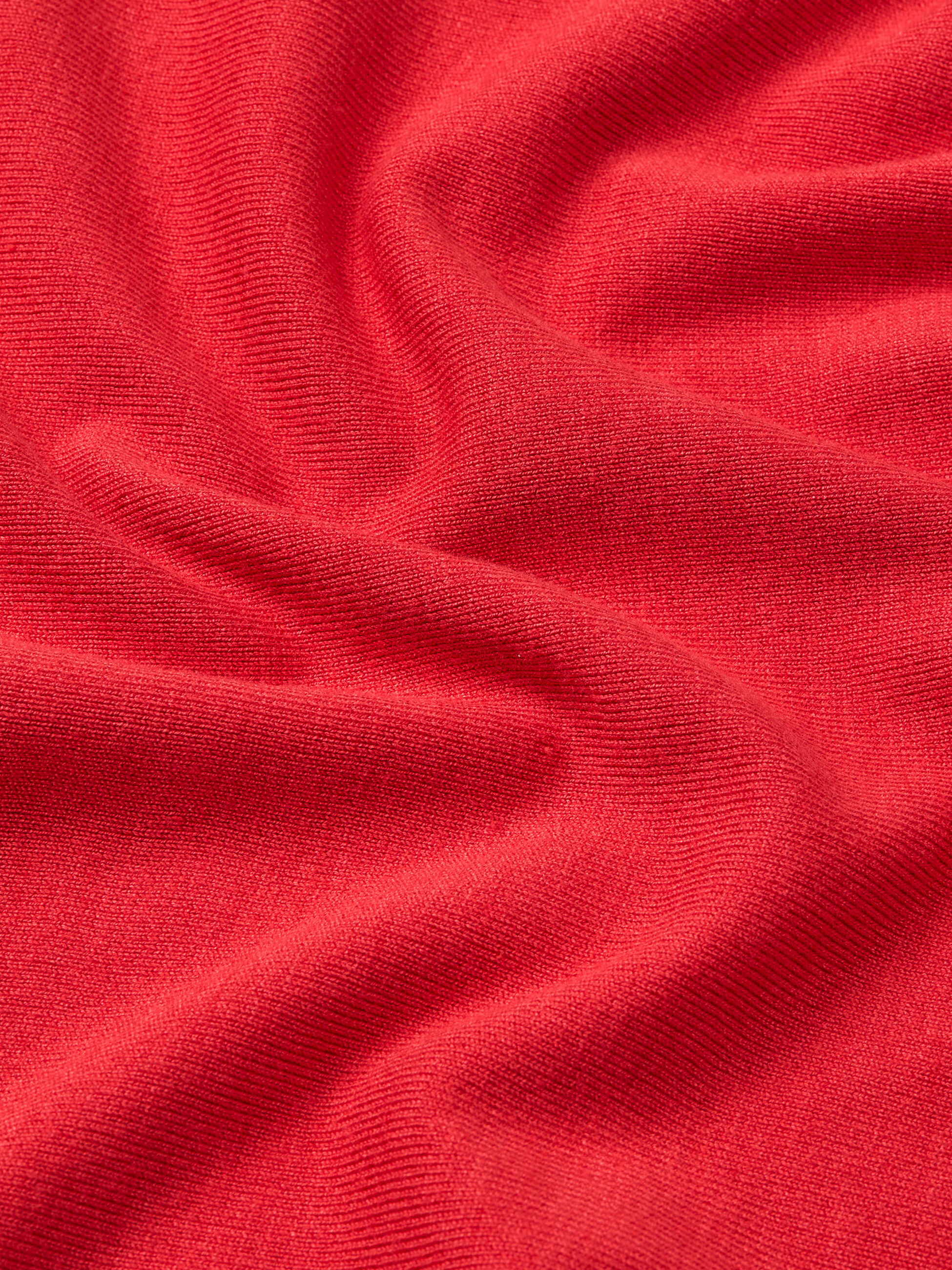 Fanasi Jumper, Poinsettia