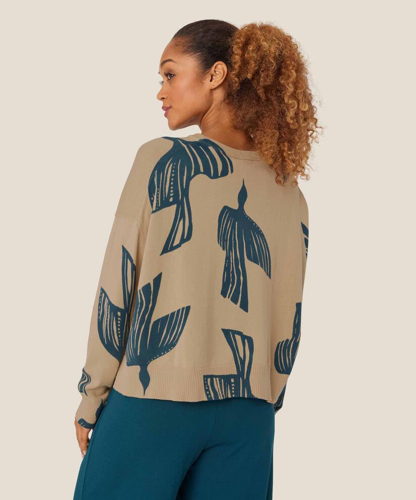 Fayda Jumper, Reflect Pond