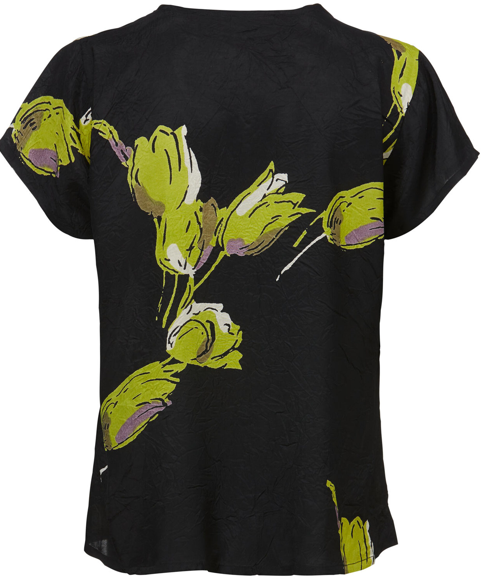 IA SHIRT, Lentil Sprout